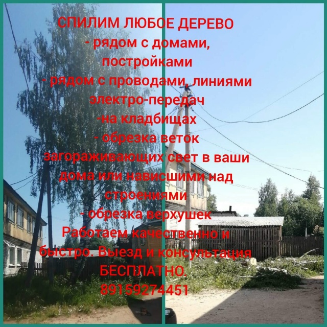 СПИЛИМ ЛЮБОЕ ДЕРЕВО (рядом с домами, проволами, заборам...