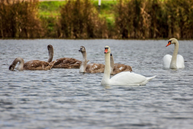 Осенняя красота пруда (с.Орда) ???