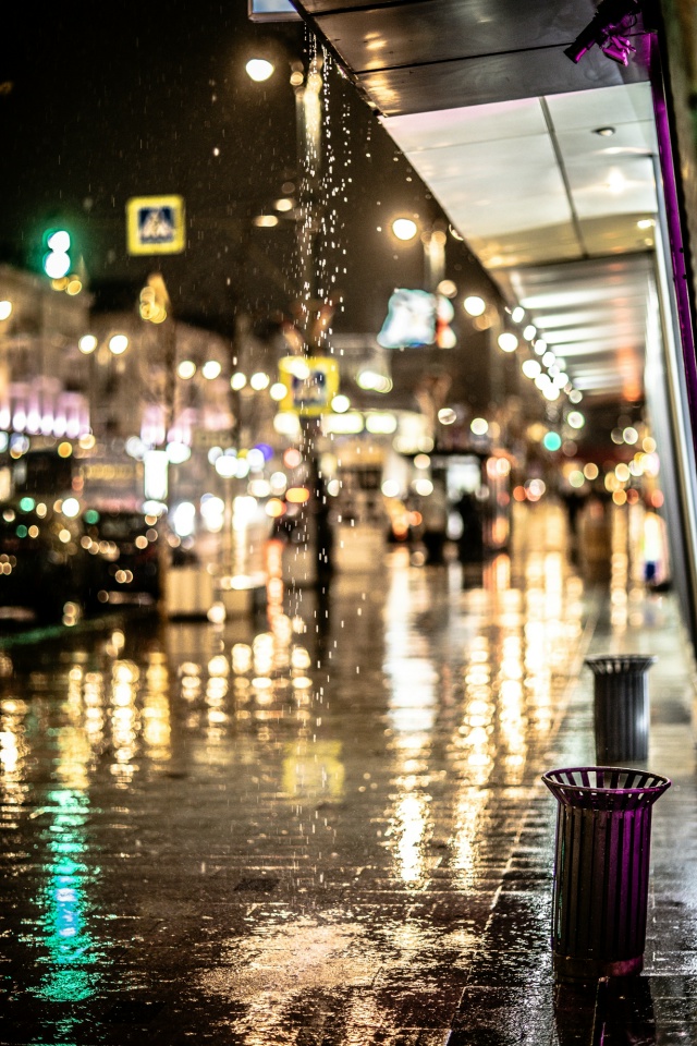 Ночной, влажный 🥰 Воронеж