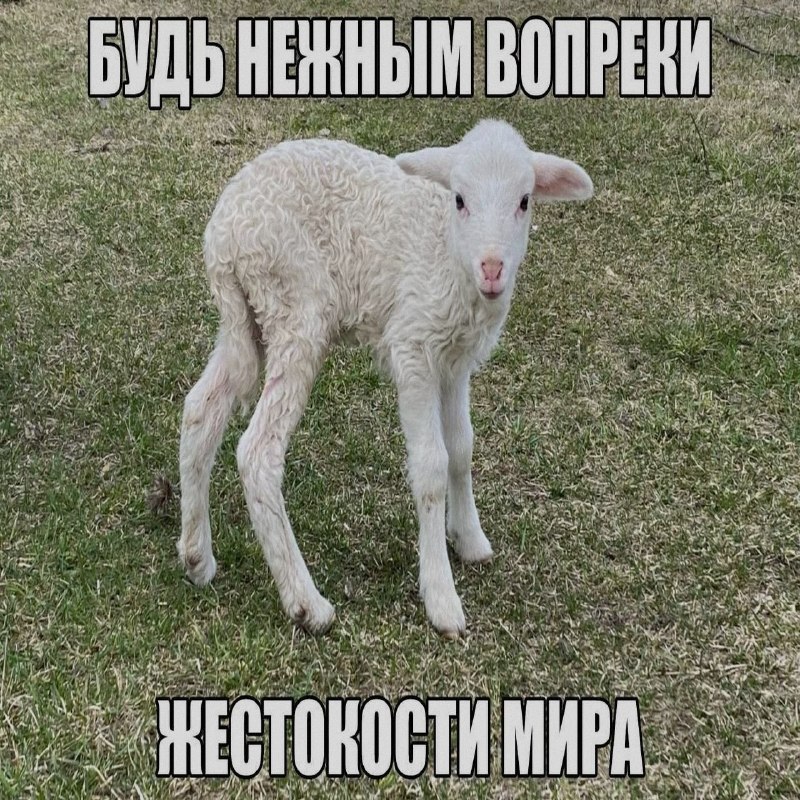 Ночная подборочка
Спать, режим