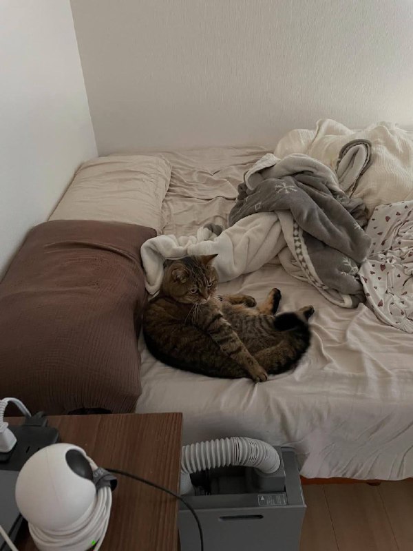 Хто я и зочим проснувся??