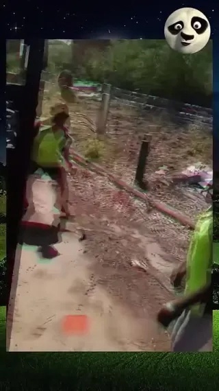 Кажется, как-то так выглядит работа мечты!