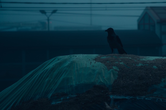 Ноябрьский туман на станции🖤