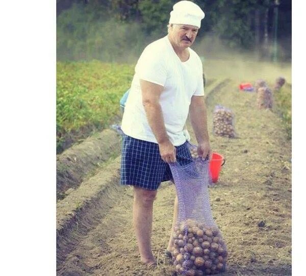 ❗️ ❗️Лукашенко заявил о готовности организовать в М?...