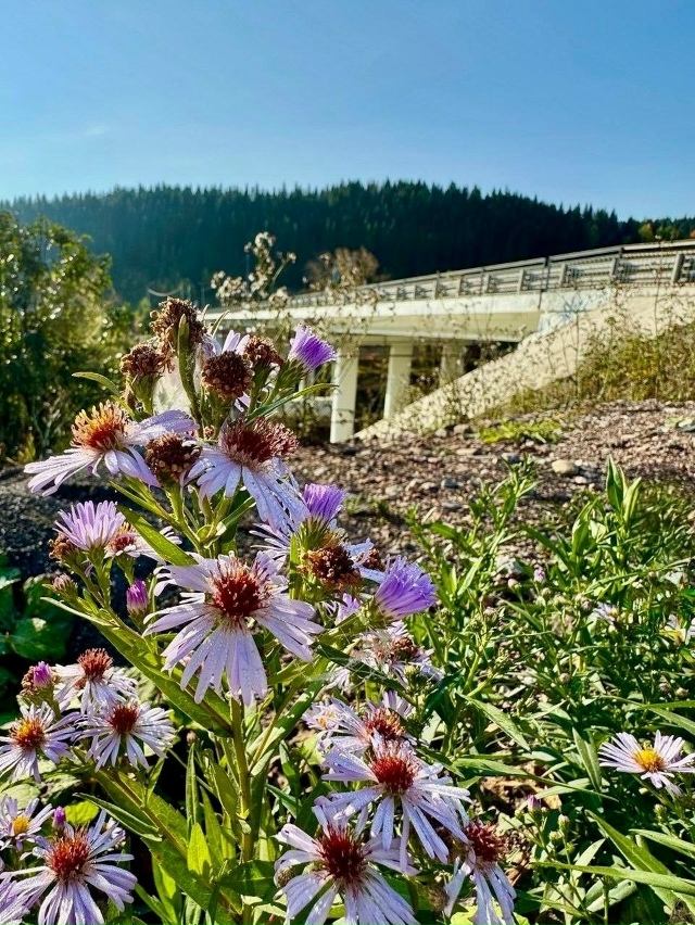 Красавица Усьва и ее живописные берега ?
? Ольга Бел...