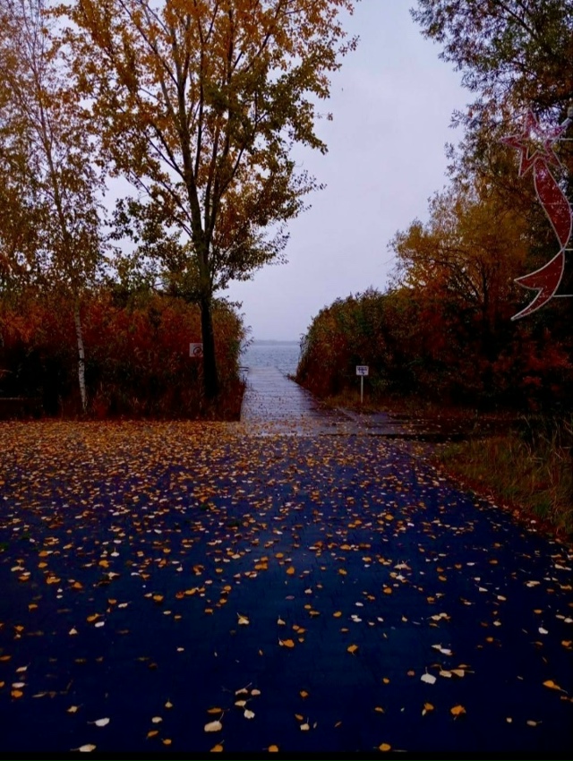 🍂