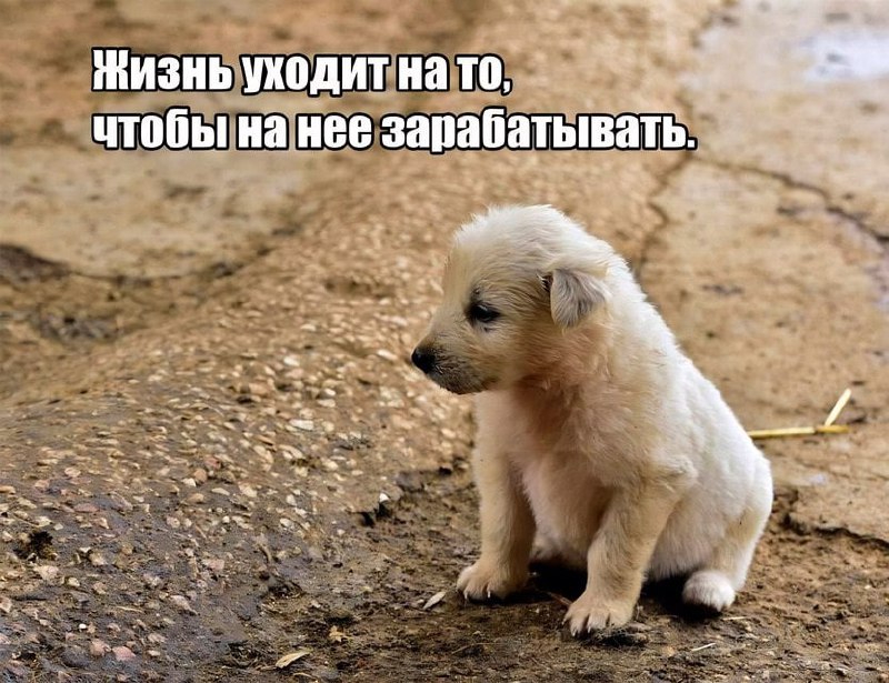Утренняя подборочка