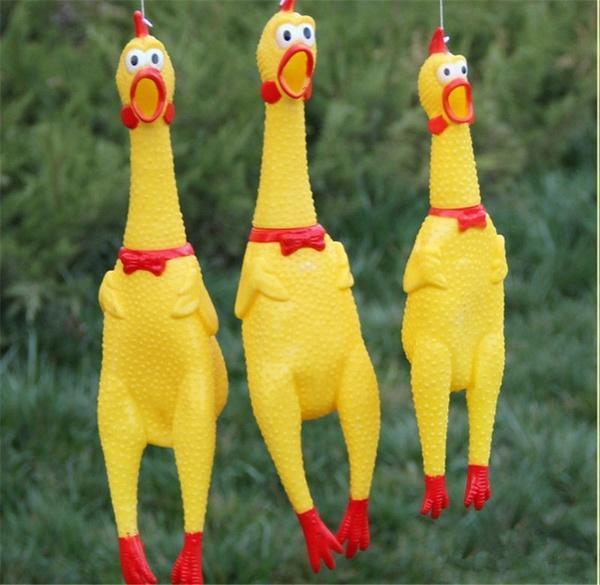 Жительницу Таиланда десять лет сводила с ума курица-пищалка соседа — в итоге она обратилась в полици