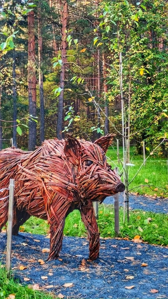 ? Обитатели Балатовского парка
? Кристина Гермаш