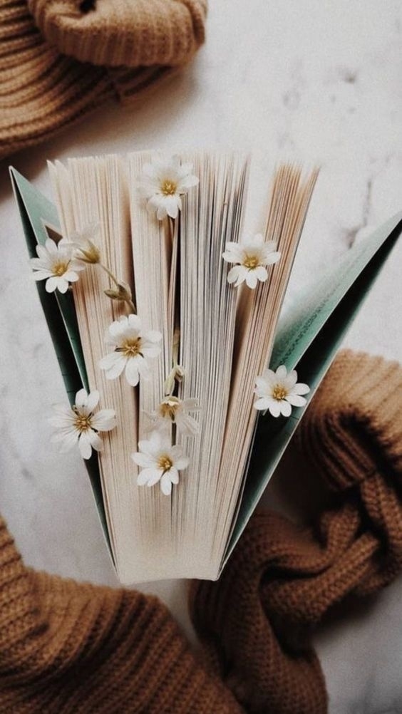 С хорошей книгой расцветает душа.