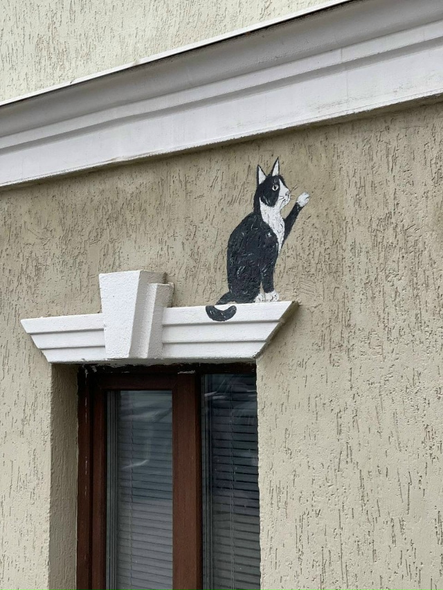 😻В центре города, на Чернышевского, 12, появились два м?...