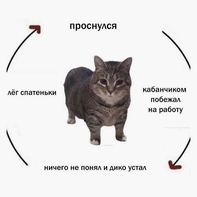 С добрым утром воскресенья😉
У кого такая же круговерт...