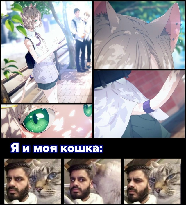 #мемы@anime