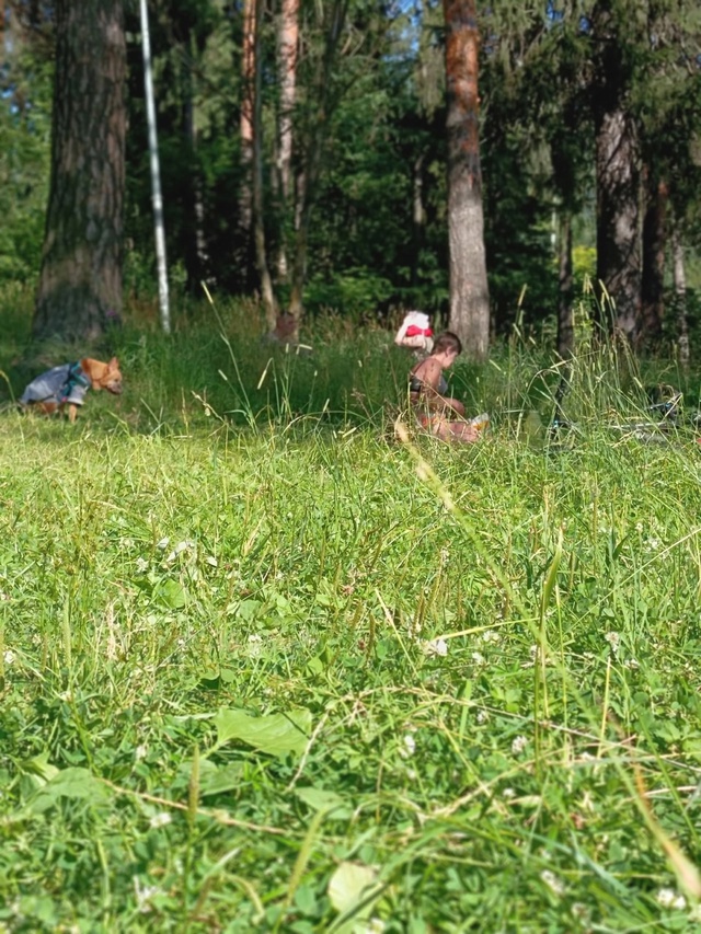 На озере Кратово второй день наблюдаю одну и ту же карт...