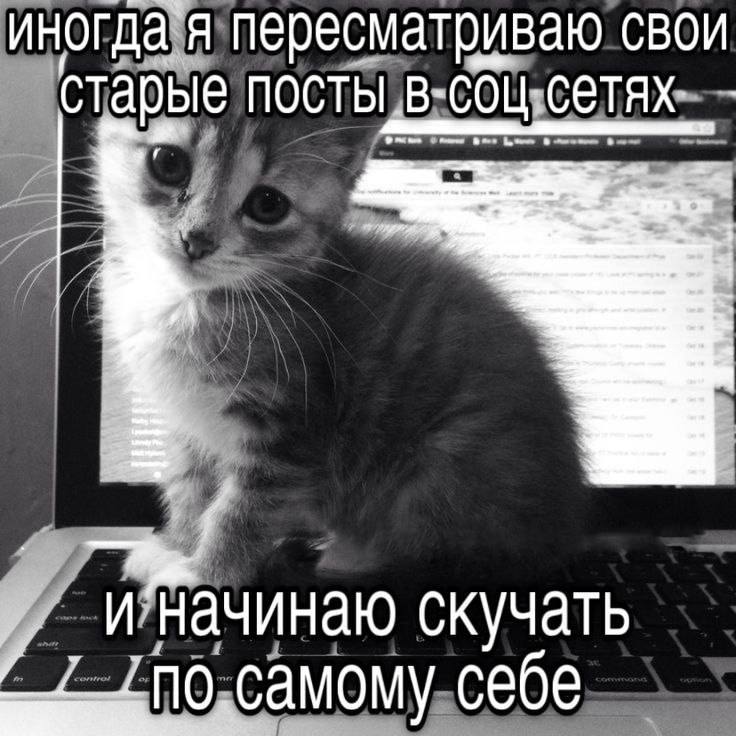 Утренняя подборочка