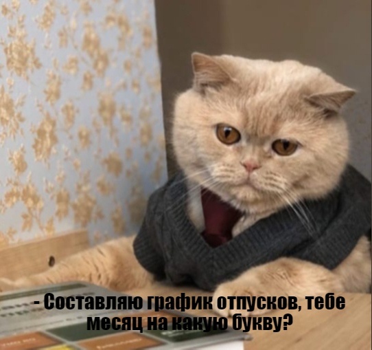 =»»