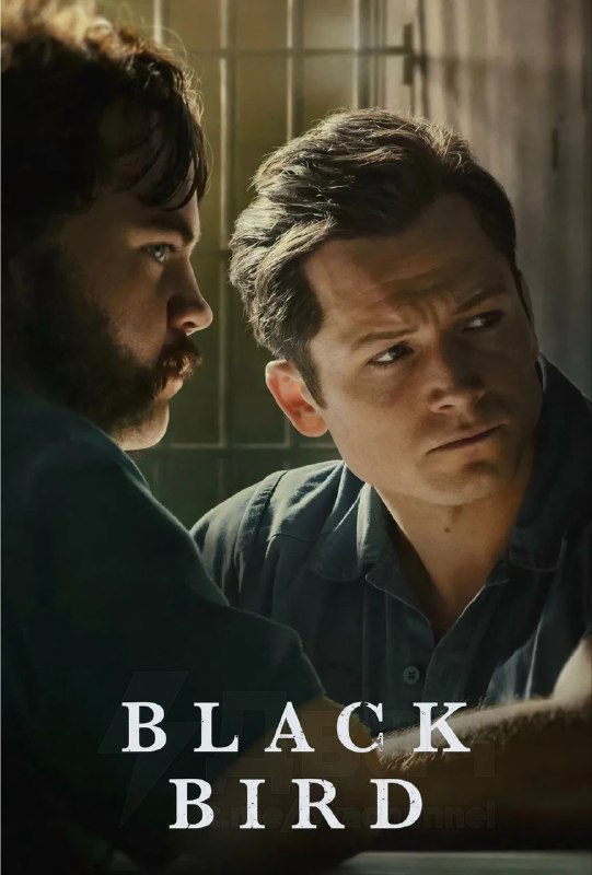 Ловите подборку свежих и интересных сериалов, которые пока не успели всем надоесть
Здесь только то,