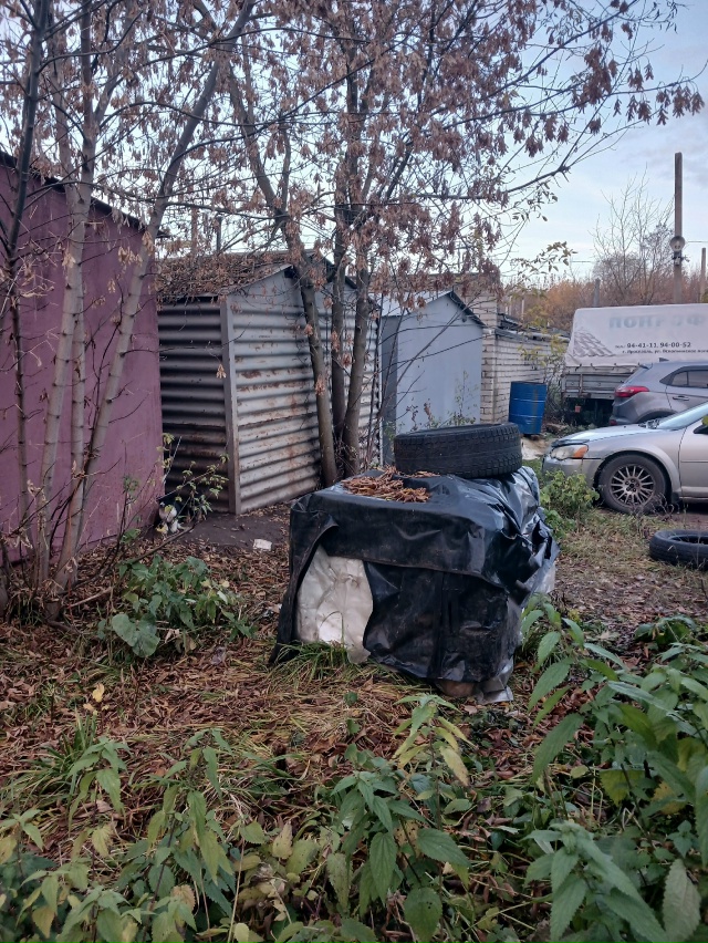 Малыши ищут дом. Живут в гаражах на улице. Может кто зна...