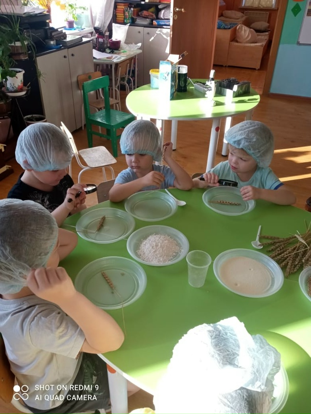 ?⭐️ Изучение профессии агронома в проекте 