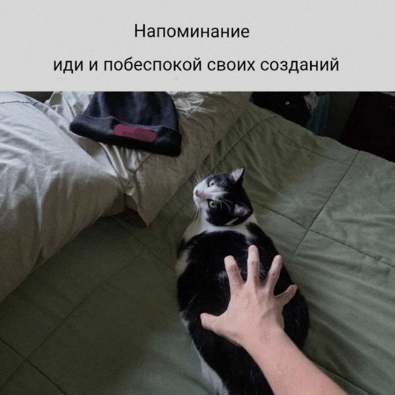Ночная подборочка
Спать, режим
