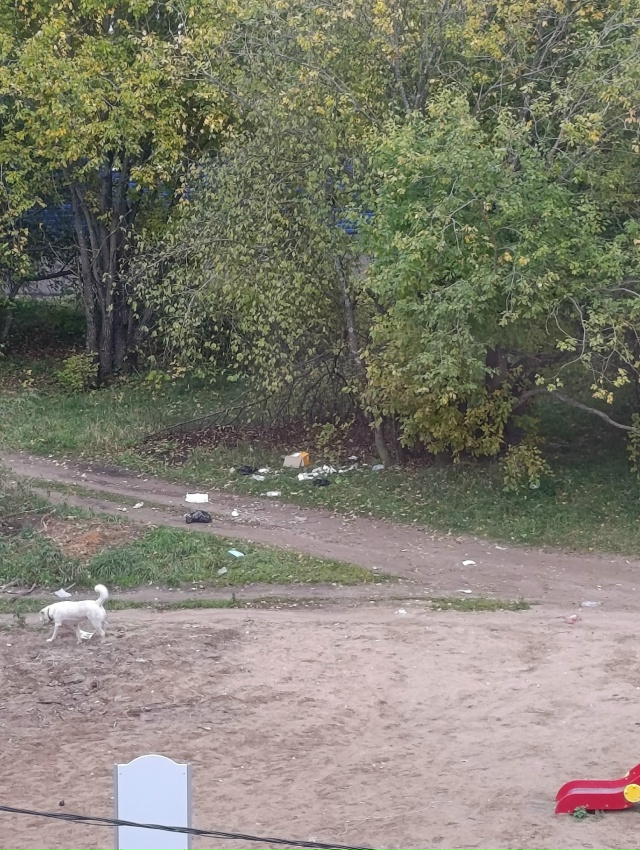 Двор ул. Весенняя д.6.
Спасибо за пейзаж!! У кого руки отс...