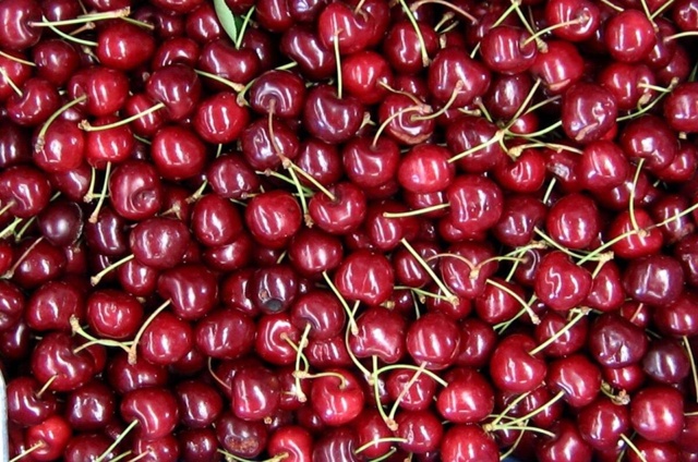 Продам вишню.
Ведро - 800р
Звонить: +7 (901) 086-43-55