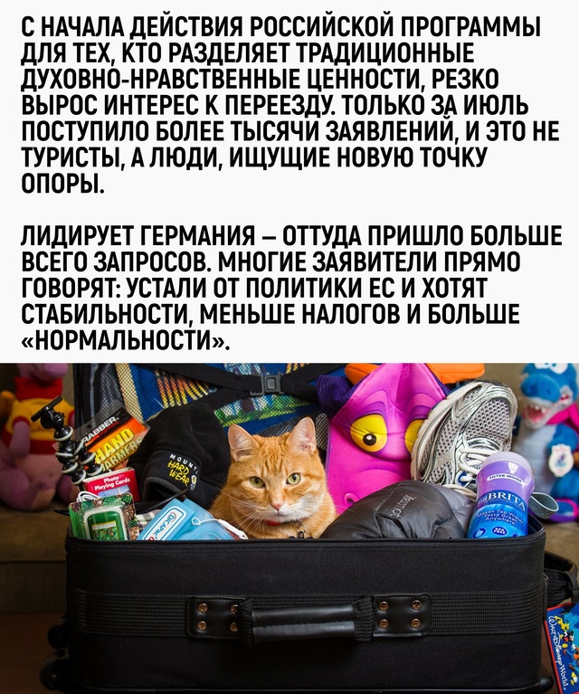 Когда корабль кажется тонущим — даже сибирская почва ?...