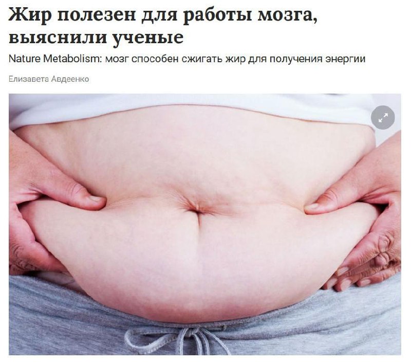 Жир полезен для работы мозга — учёные выяснили, что в период интенсивной нагрузки мозг буквально «за