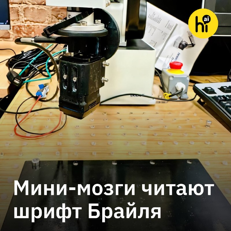 💻 Мини-мозги «прочитали» шрифт Брайля
Для этого ученые из Бристольского университета подключили роб