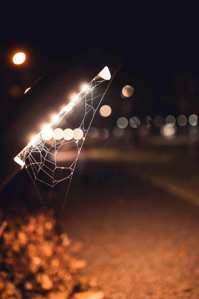 Манящий ночной Воронеж 💫