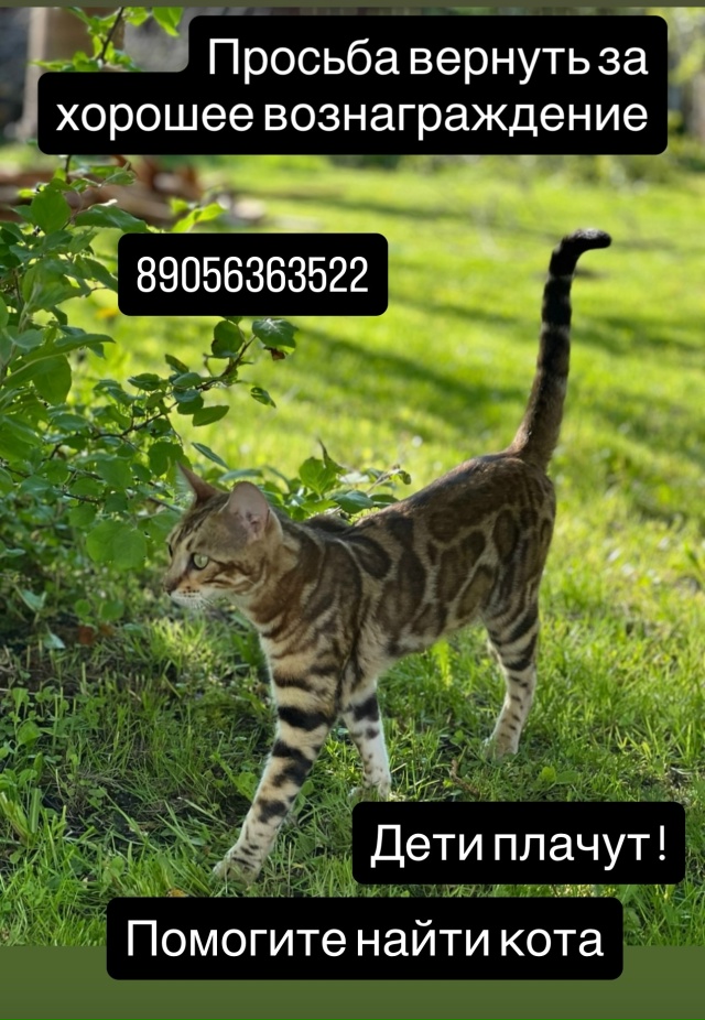 Выложите пожалуйста последний раз, ребенок до сих пор ?...