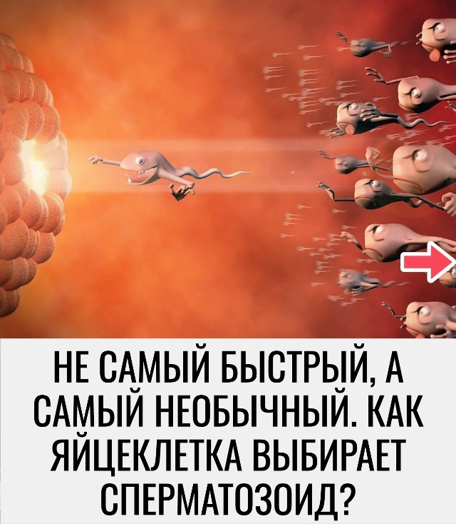 Рекомендации на день 👉 max.ru/pavelshapranov