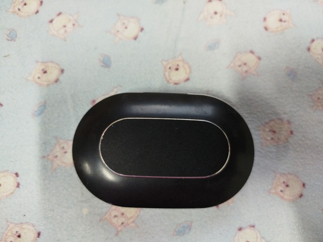 Найден кейс от беспроводных наушников на Ленина