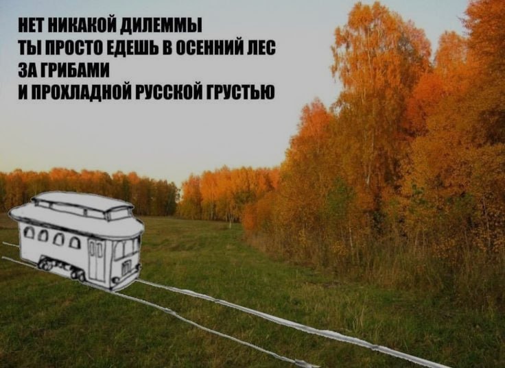 Ночная подборочка
Спать, режим