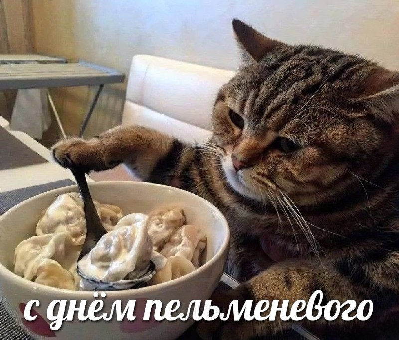 Сегодня отмечается Всемирный день пельменей