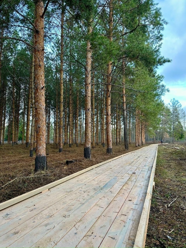 Осенние дожди внесли коррективы в график, и обустройст...