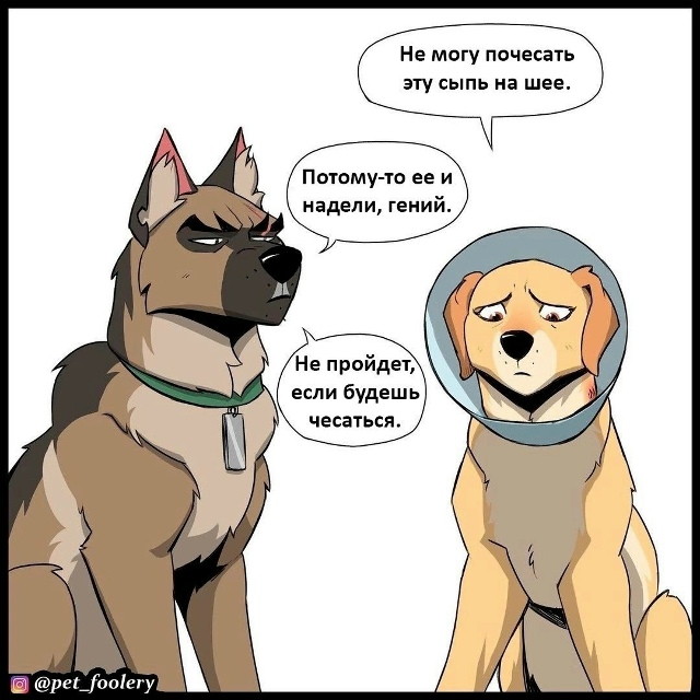 А чесаться так и хочется