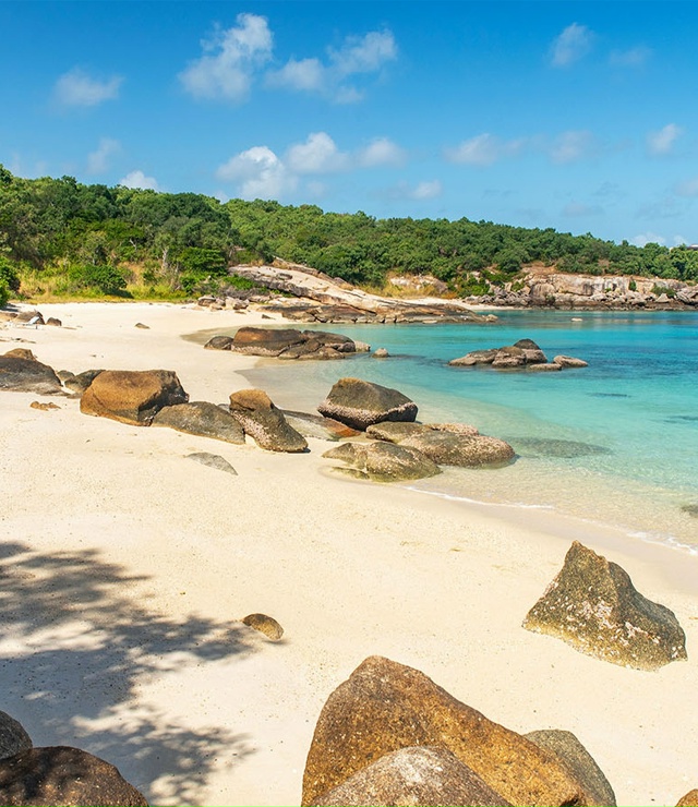 Круизный лайнер оставил 80-летнюю австралийку на тропи?...