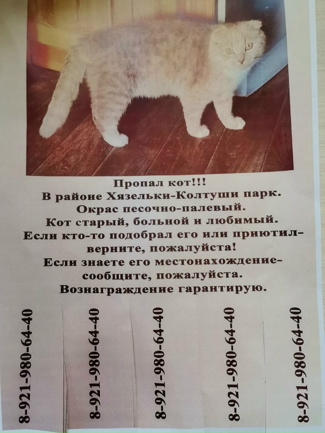 Пропал кот,репост приветствуется ! Помогаю информацио...