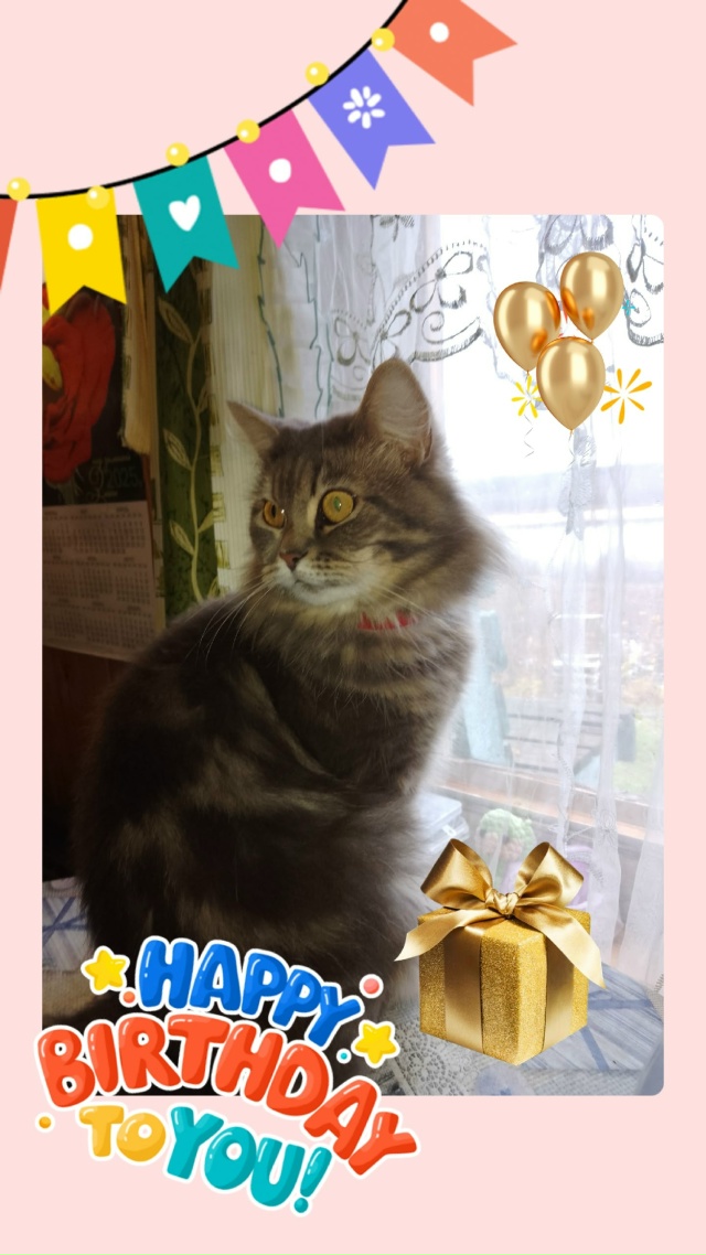 С днём рождения меня!!!
Я родилась 4 ноября,
в праздник К?...