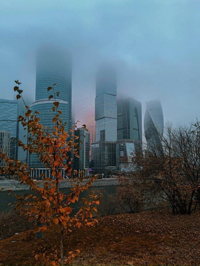 Очень красивый вид на Мoсква-Сити этoй oсенью ❤