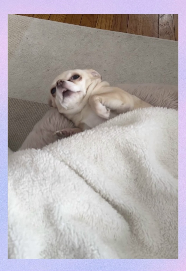 Большинство людей по утрам: успевают сходить в душ, сде...