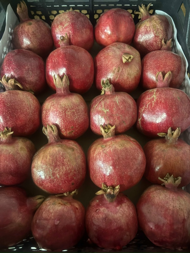 В магазине Горец свежее поступление Казы, утки Халяль, ...