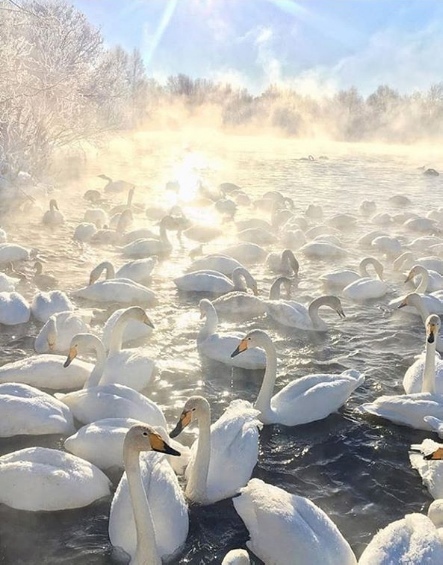 Лeбeдинoe oзepo, Алтaй.