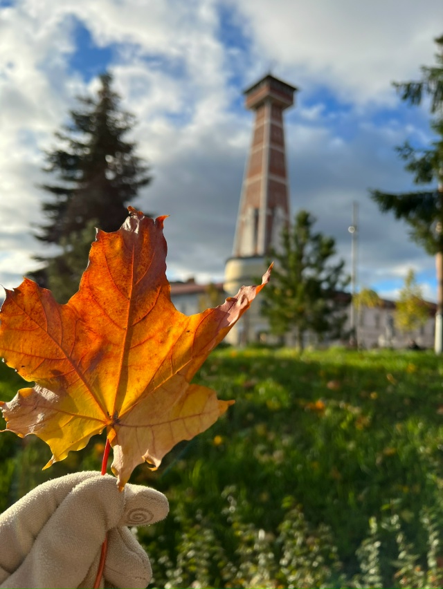 Осенний Рыбинск 🍁❤️