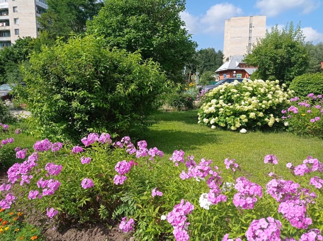 🌸Цветник возле 