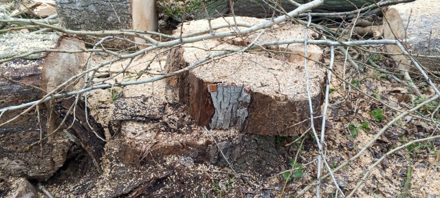 Ну кто же выпиливает по городу никому не мешающие двух?...