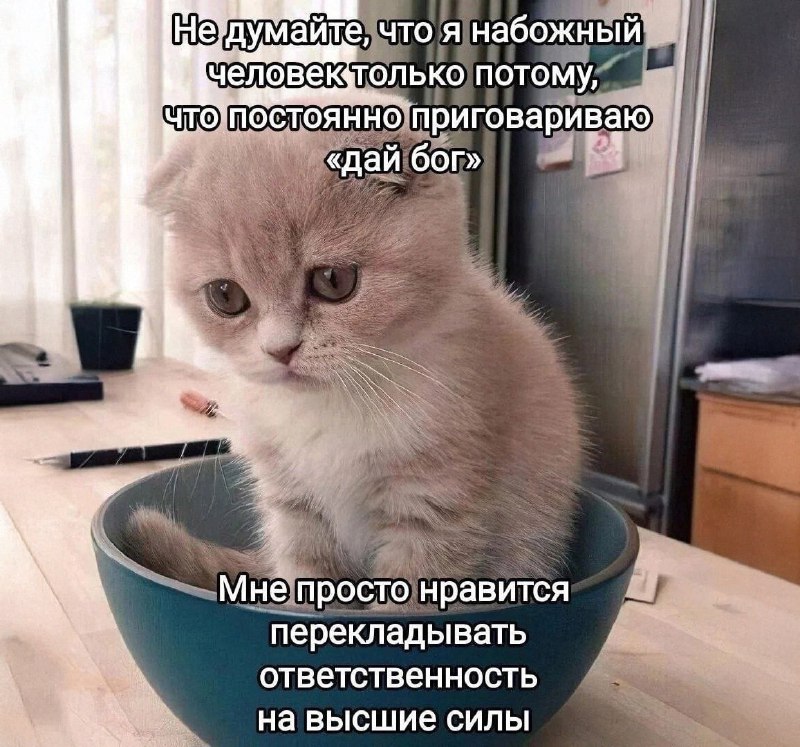 Утренняя подборочка