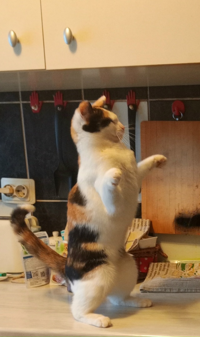 Шанель богиня танцпола😁