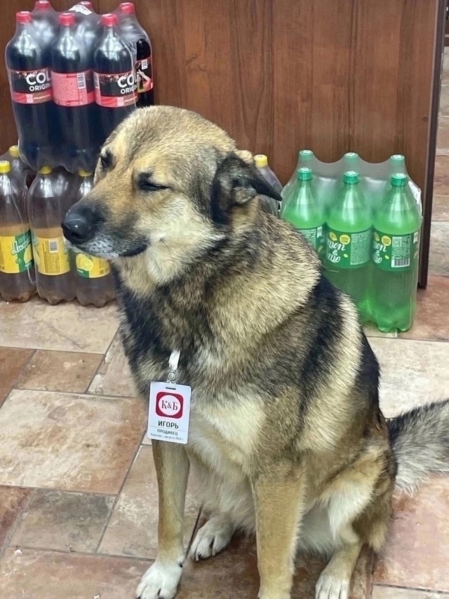 Новый пpодавец в КБ, ocтaльныx pacпyгaли aлкаши😅